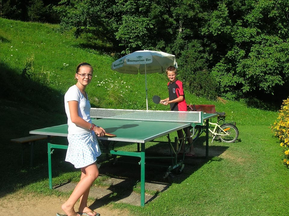 People, Garden, Table tennis, children, Family