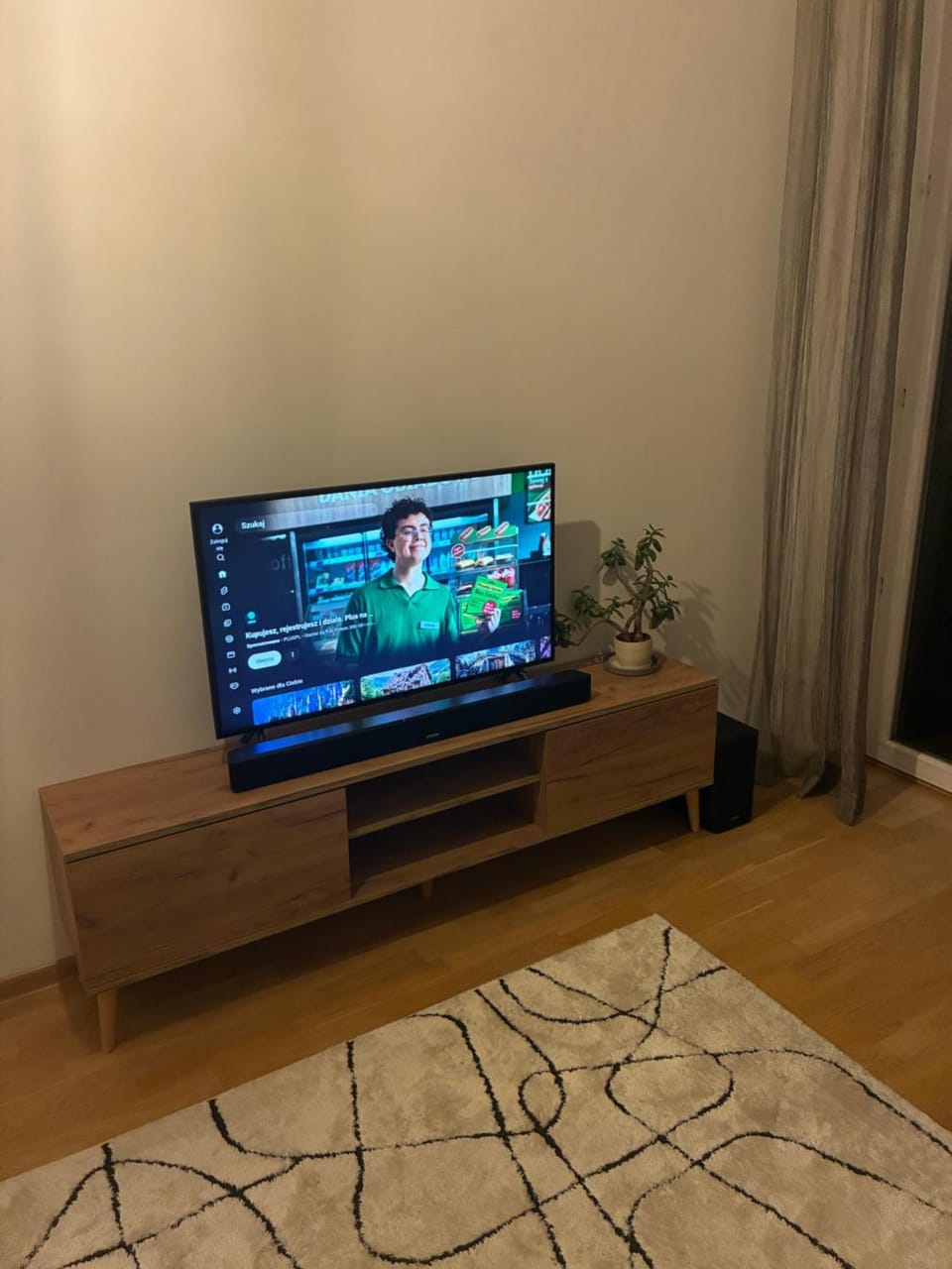 TV and multimedia