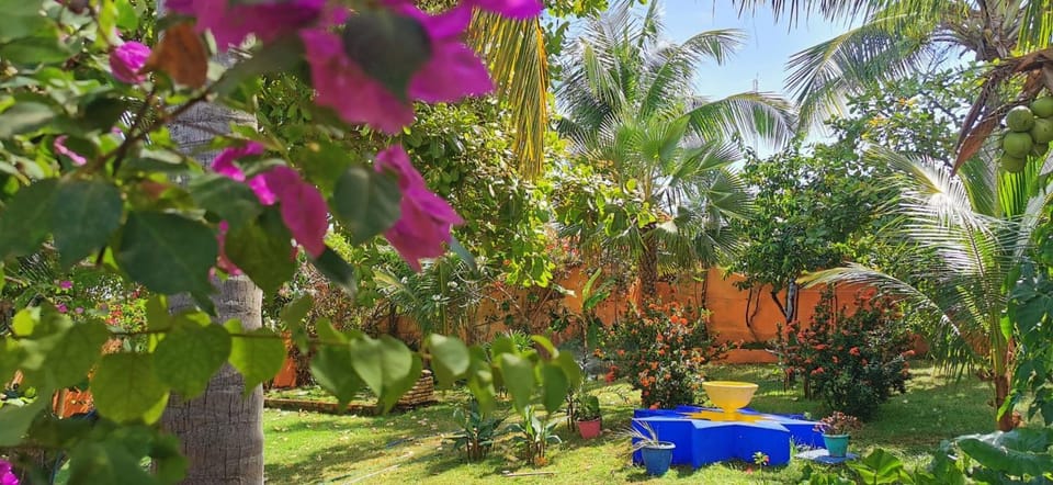 Beautiful house 5 minutes on foot to centre, Wi-Fi, parking, kitchen House in Canoa Quebrada
