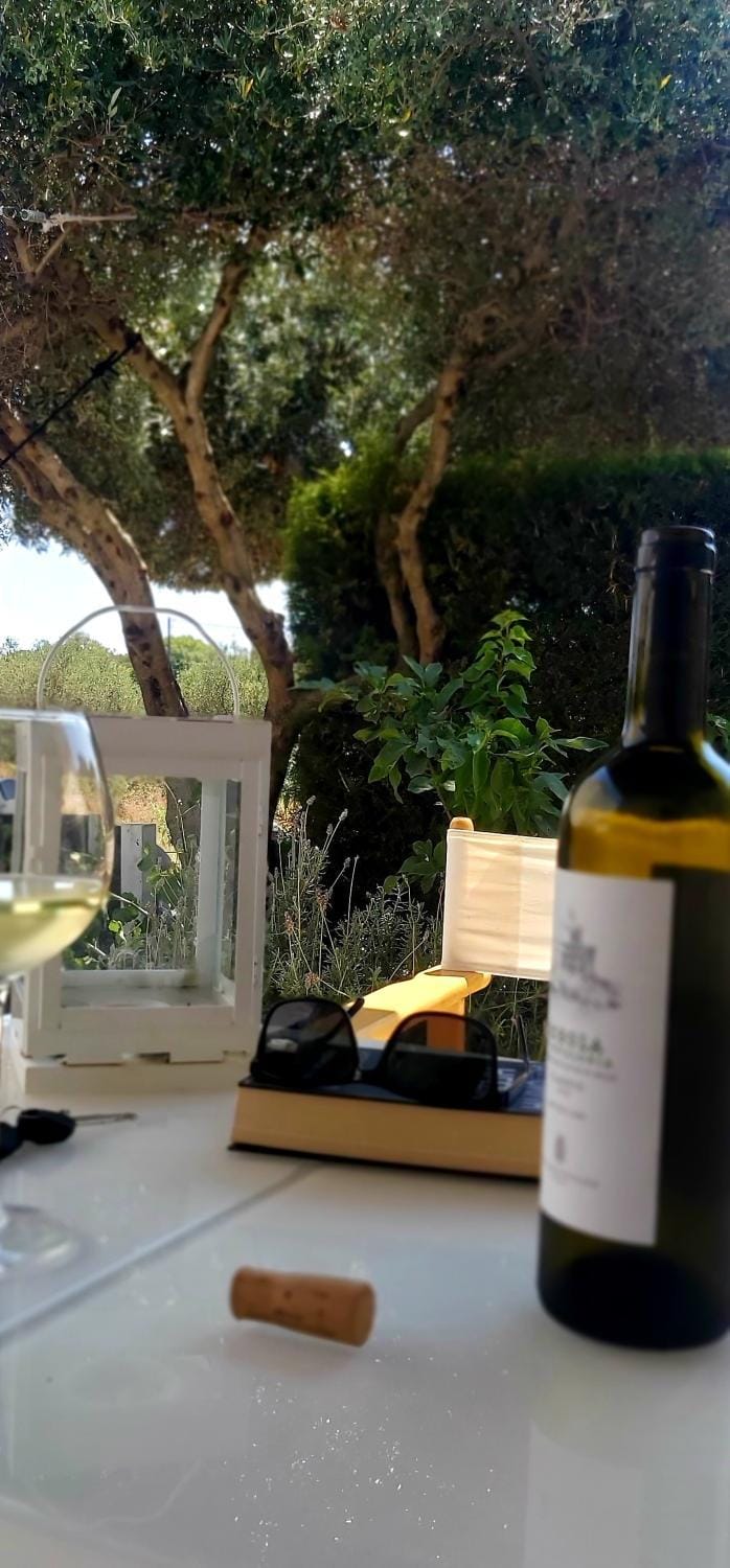 Eleios Villa House in Cephalonia