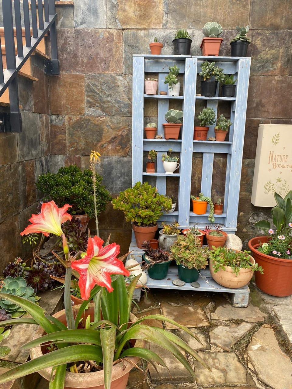 Hospedaje Oreña Bed and Breakfast in Western coast of Cantabria