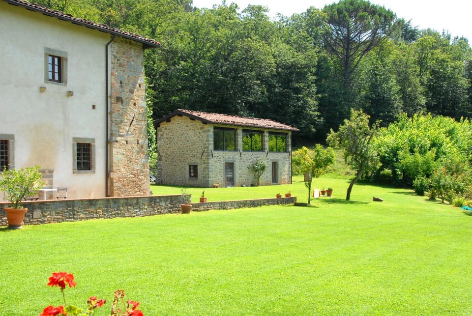 Garden view