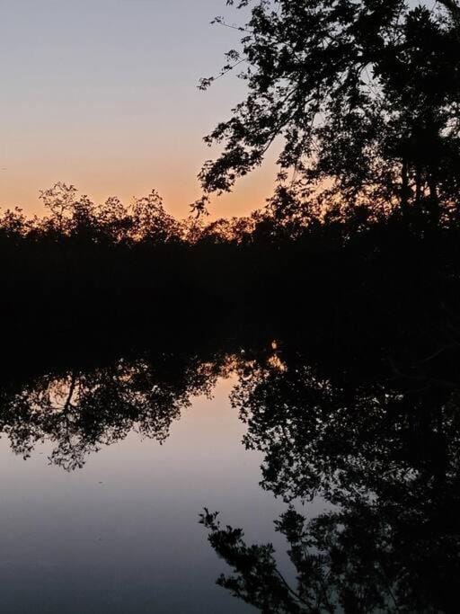 River view