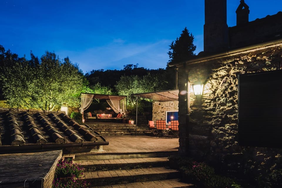 Patio, Patio, Garden, Garden