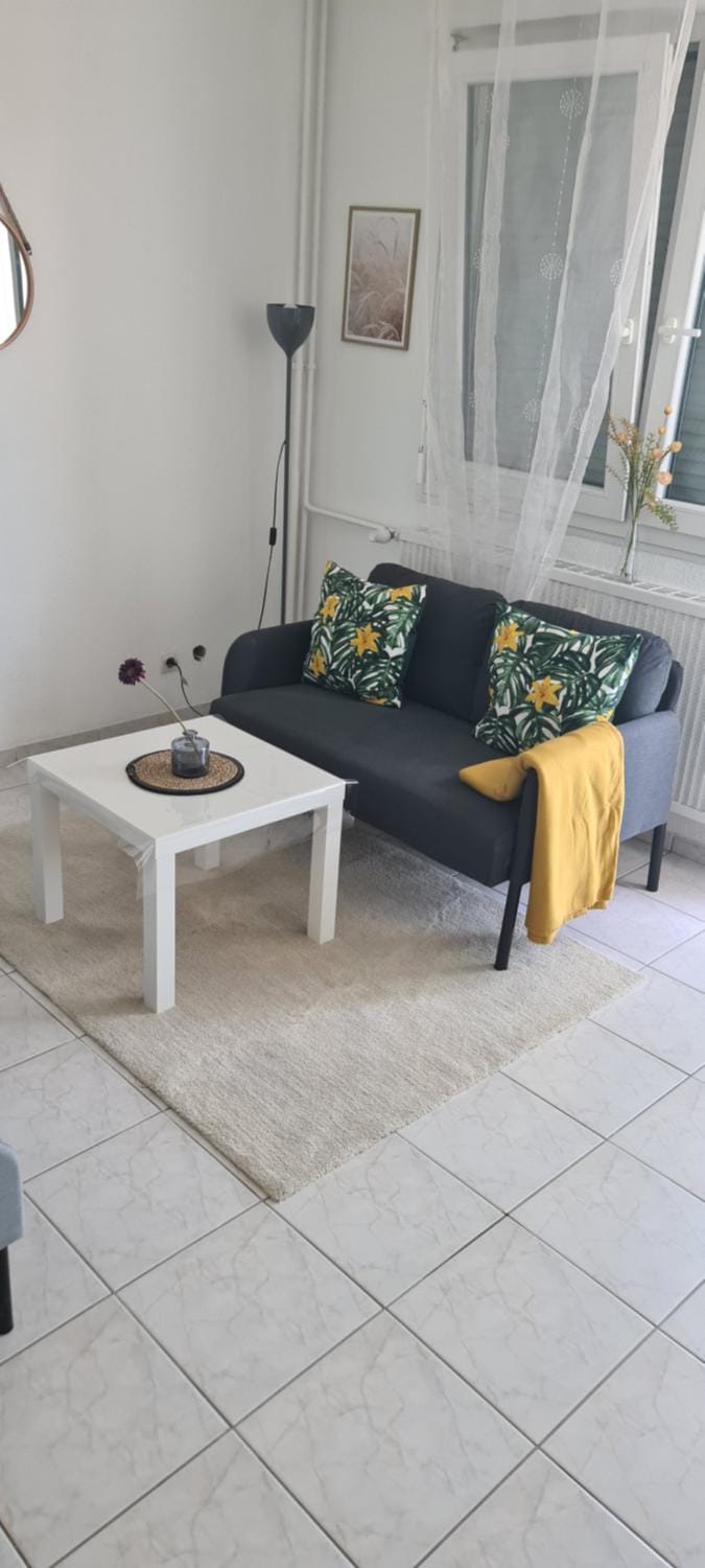 Studio KULLA avec terasse 5mn Basel Airport Apartment in Saint-Louis