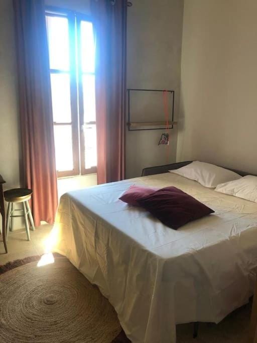 la Perle Rare - Centre-Ville Apartment in Occitanie