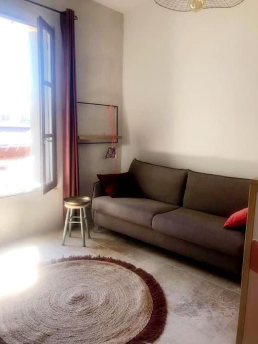 la Perle Rare - Centre-Ville Apartment in Occitanie