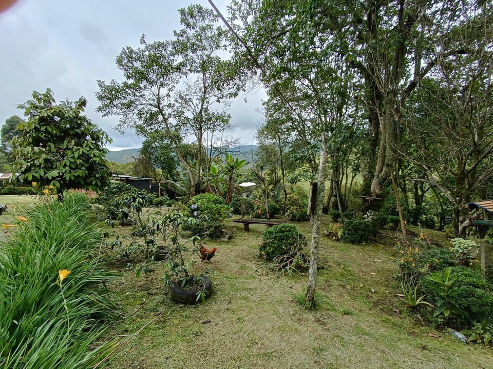 Natural landscape, Garden, Mountain view