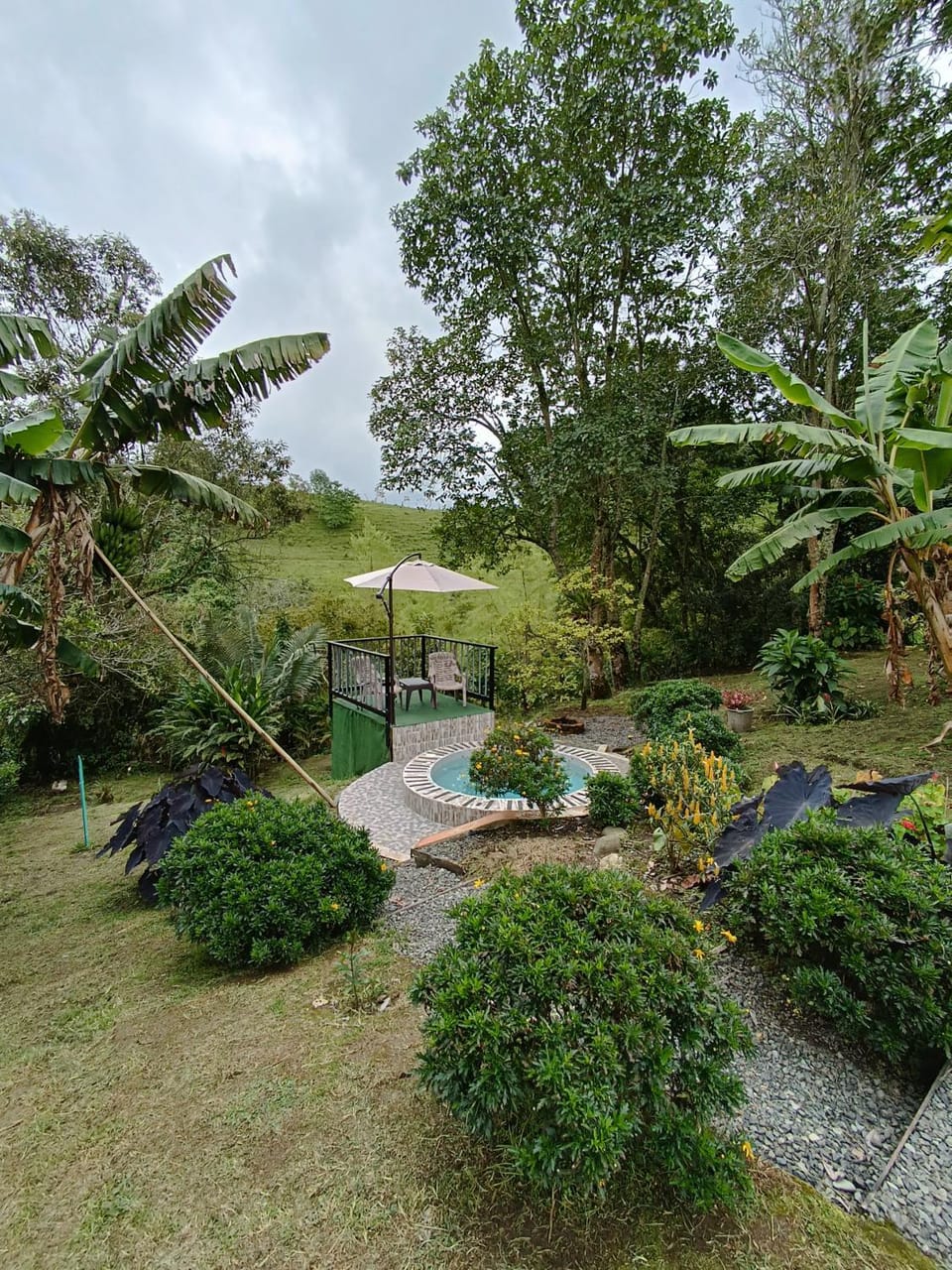 Natural landscape, Garden view