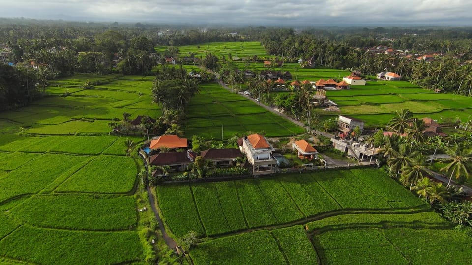 Property building, Day, Natural landscape, Bird's eye view