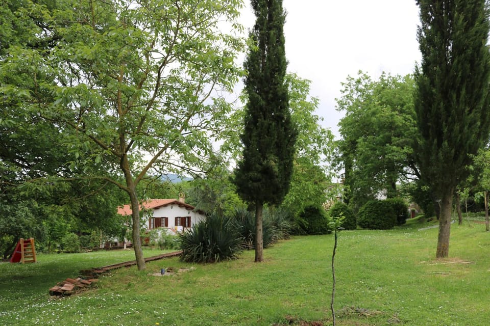 Natural landscape