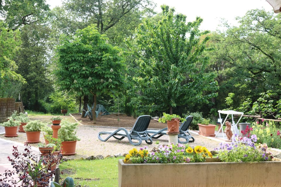 Garden view