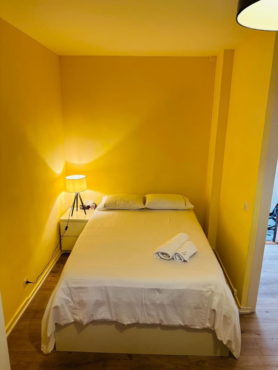 Charmant studio très accueillant Apartment in Geneva