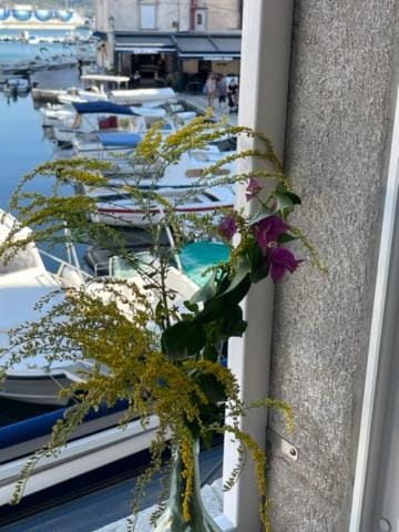 Studio Antonio Cres Apartment in Cres