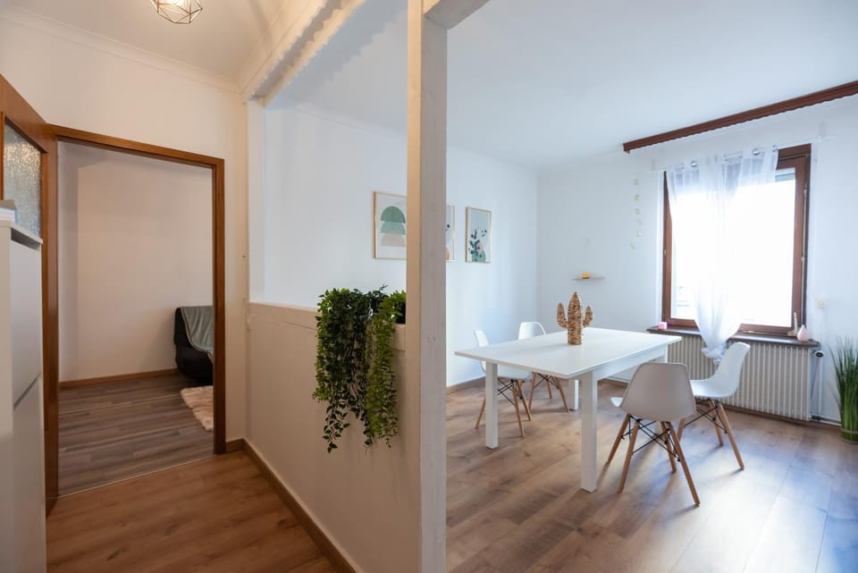 Appartement Cosy de 80 m2 Proche Parc et Hypercentre Apartment in Mulhouse