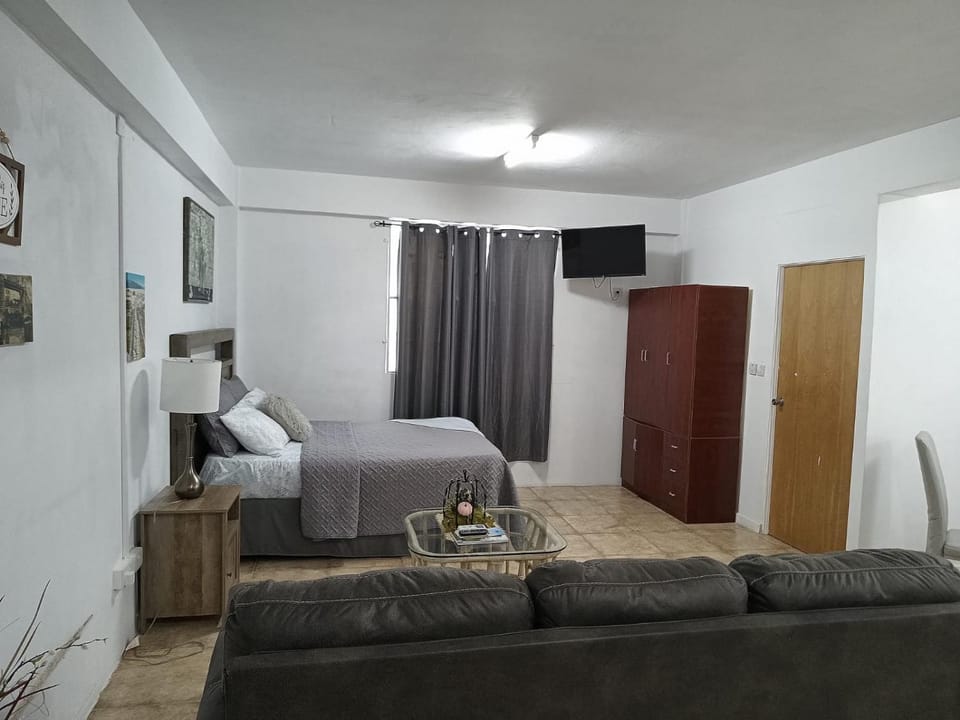 Roseau City Hub apt # 3 Apartment in Dominica
