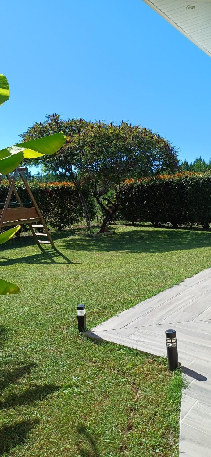 Natural landscape, Garden view