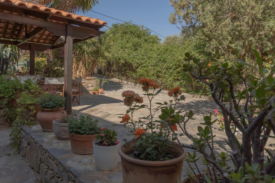 Spring, Day, Garden, Garden view