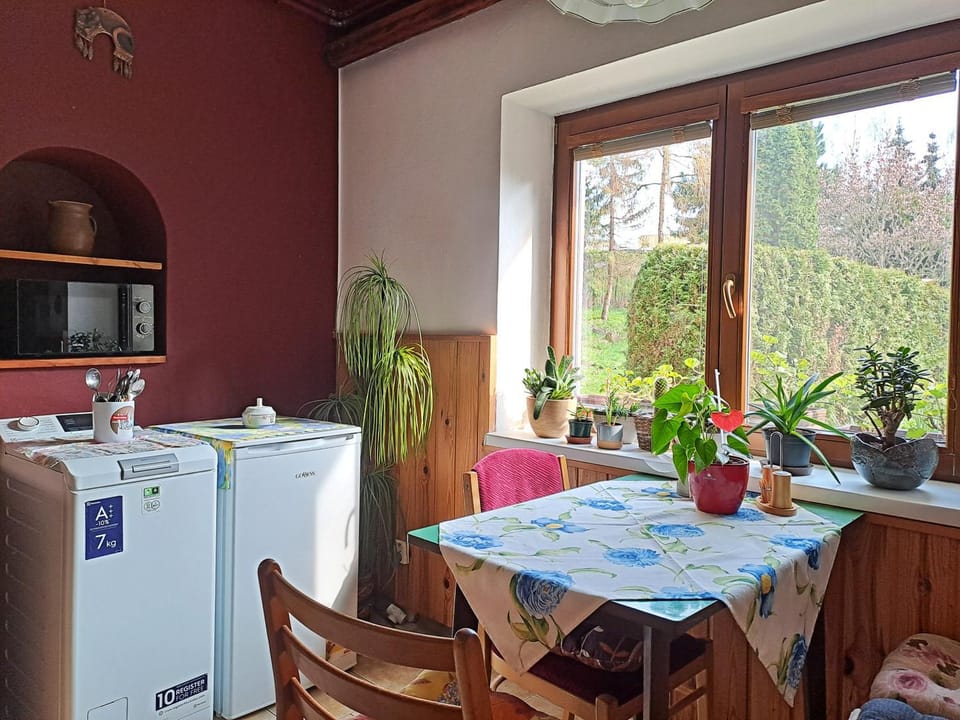 Kitchen or kitchenette, Dining area, microwave, washing machine, kitchen