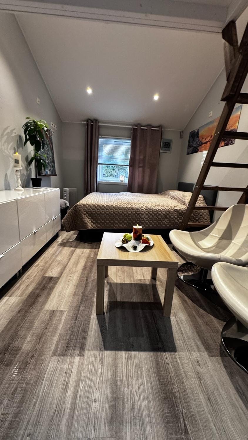 Sleep with the stars Apartment in Oslo