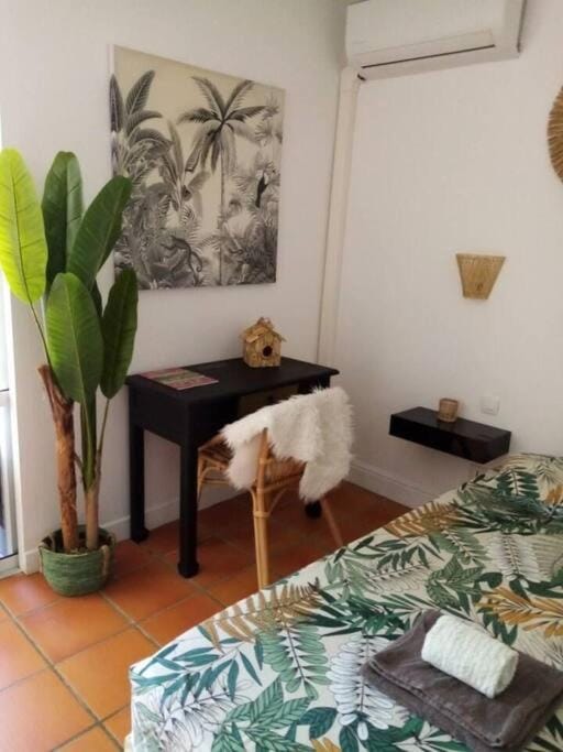 Studio Coco Passion Apartment in Grande-Terre, Guadeloupe