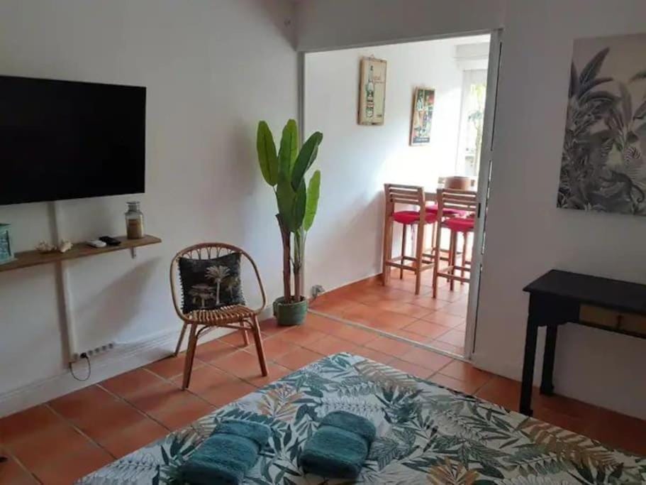 Studio Coco Passion Apartment in Grande-Terre, Guadeloupe