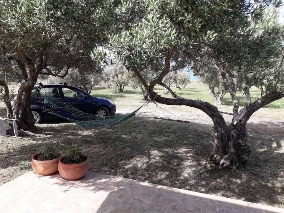 Robinson house Sea & olives House in Tisno