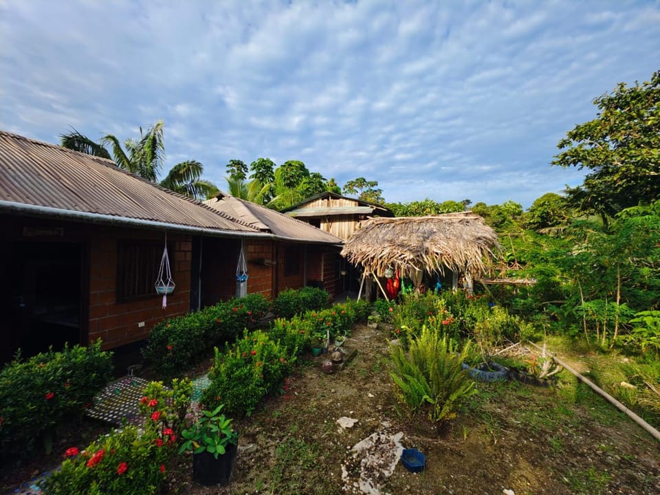 Property building, Day, Garden, Garden view