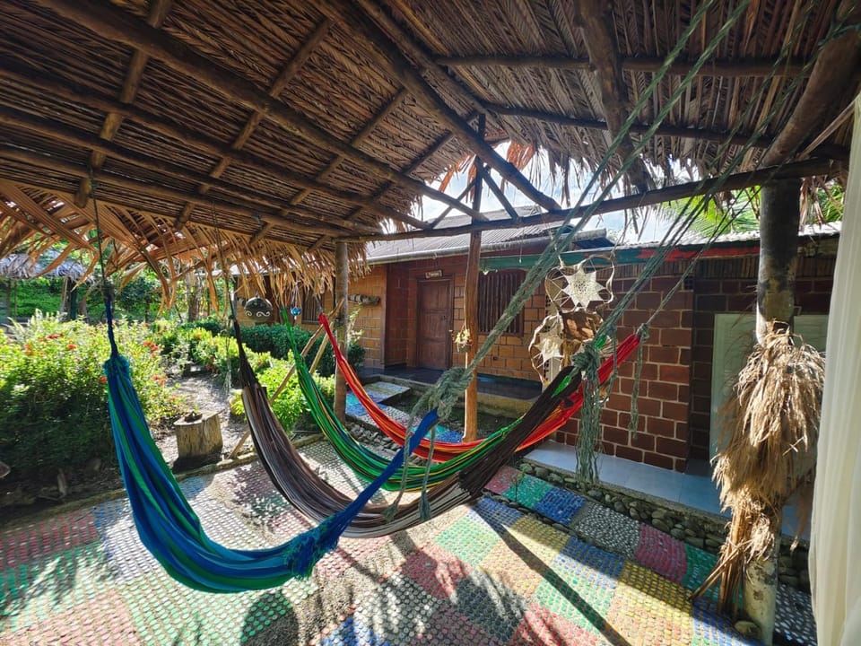 Patio, Day, Garden