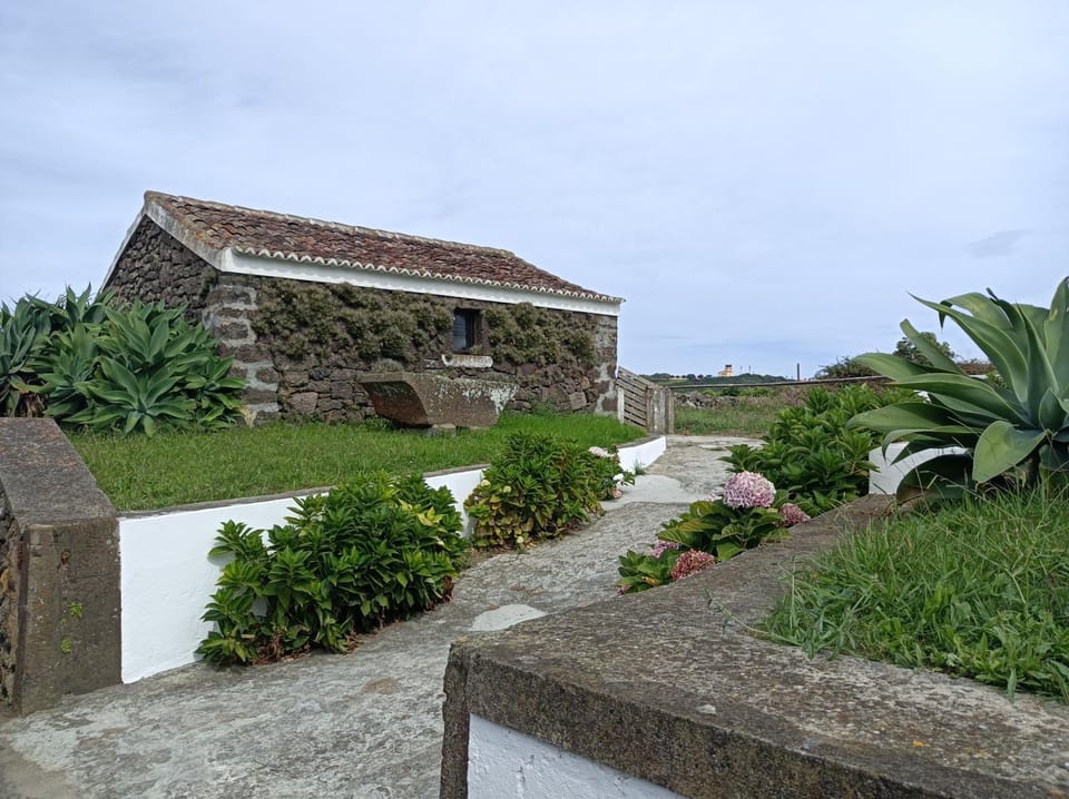 Property building, Day, Garden, Garden view