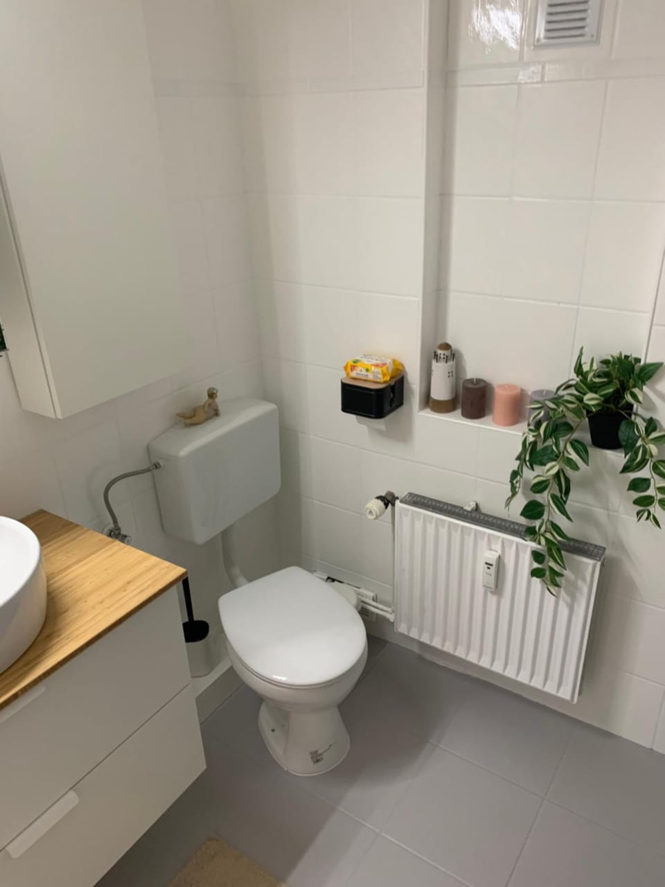 Toilet, Bathroom