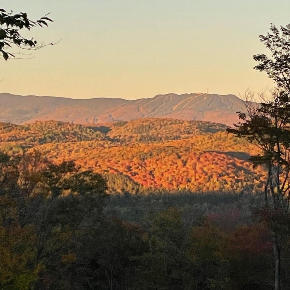 View (from property/room)