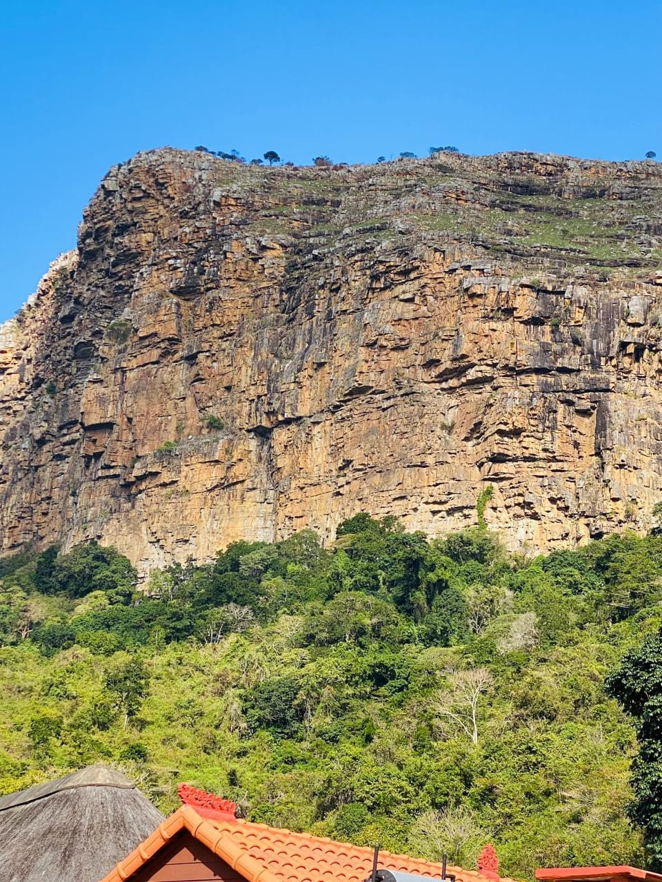 N'taba River Lodge & Spa Nature lodge in Eastern Cape