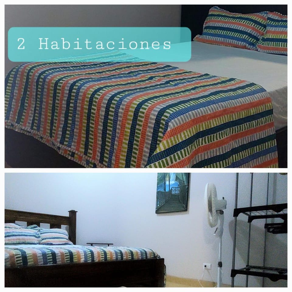 Bed, Photo of the whole room, Bedroom, bunk bed