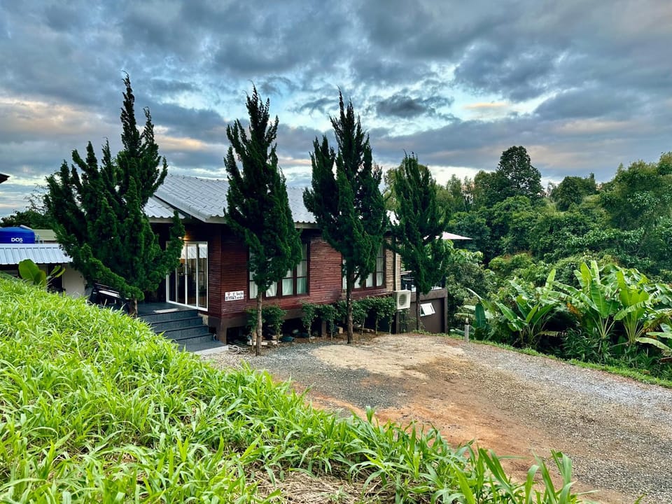 Natural landscape, Garden view