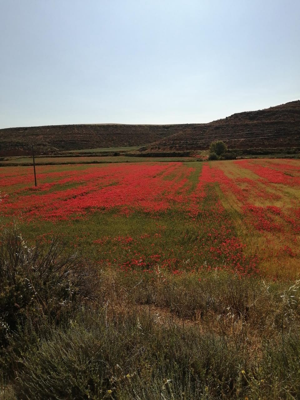 Natural landscape