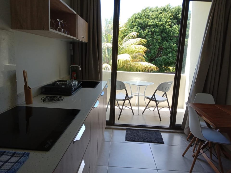 Balcony/Terrace, Kitchen or kitchenette, stove