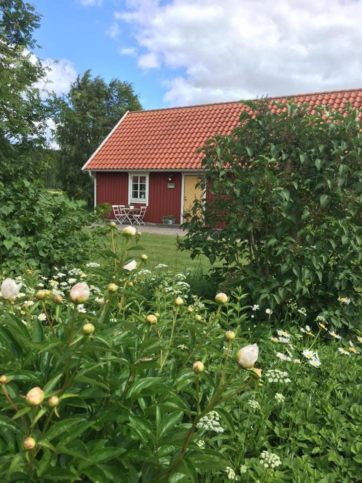 Property building, Garden, Garden view