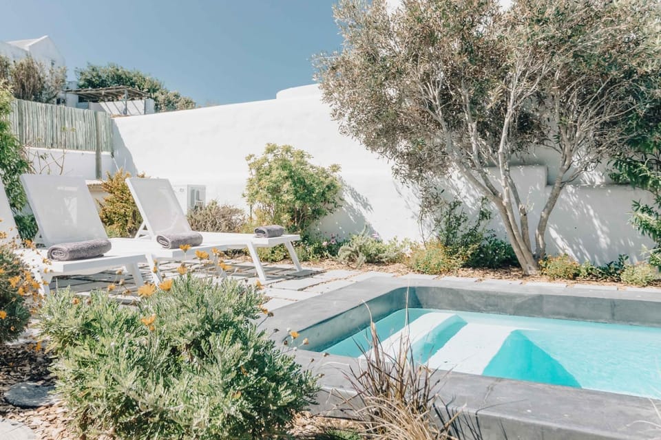 Garden, Garden view, Pool view, Swimming pool, sunbed