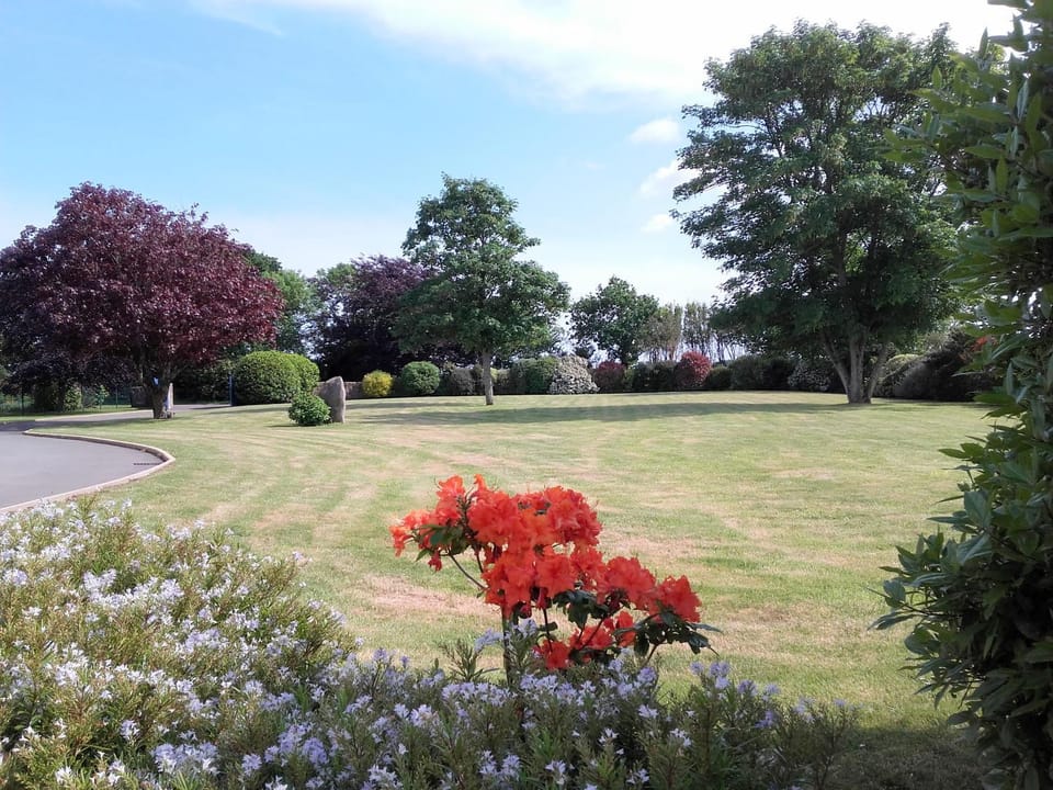 Day, Garden, Garden view