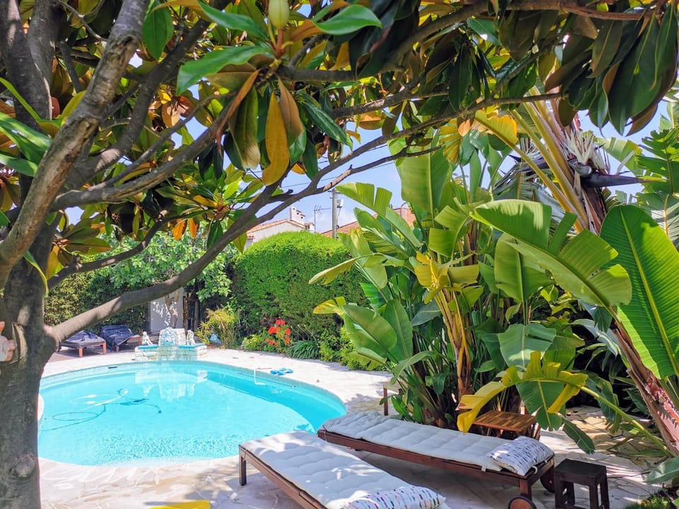 Swimming pool, Breakfast