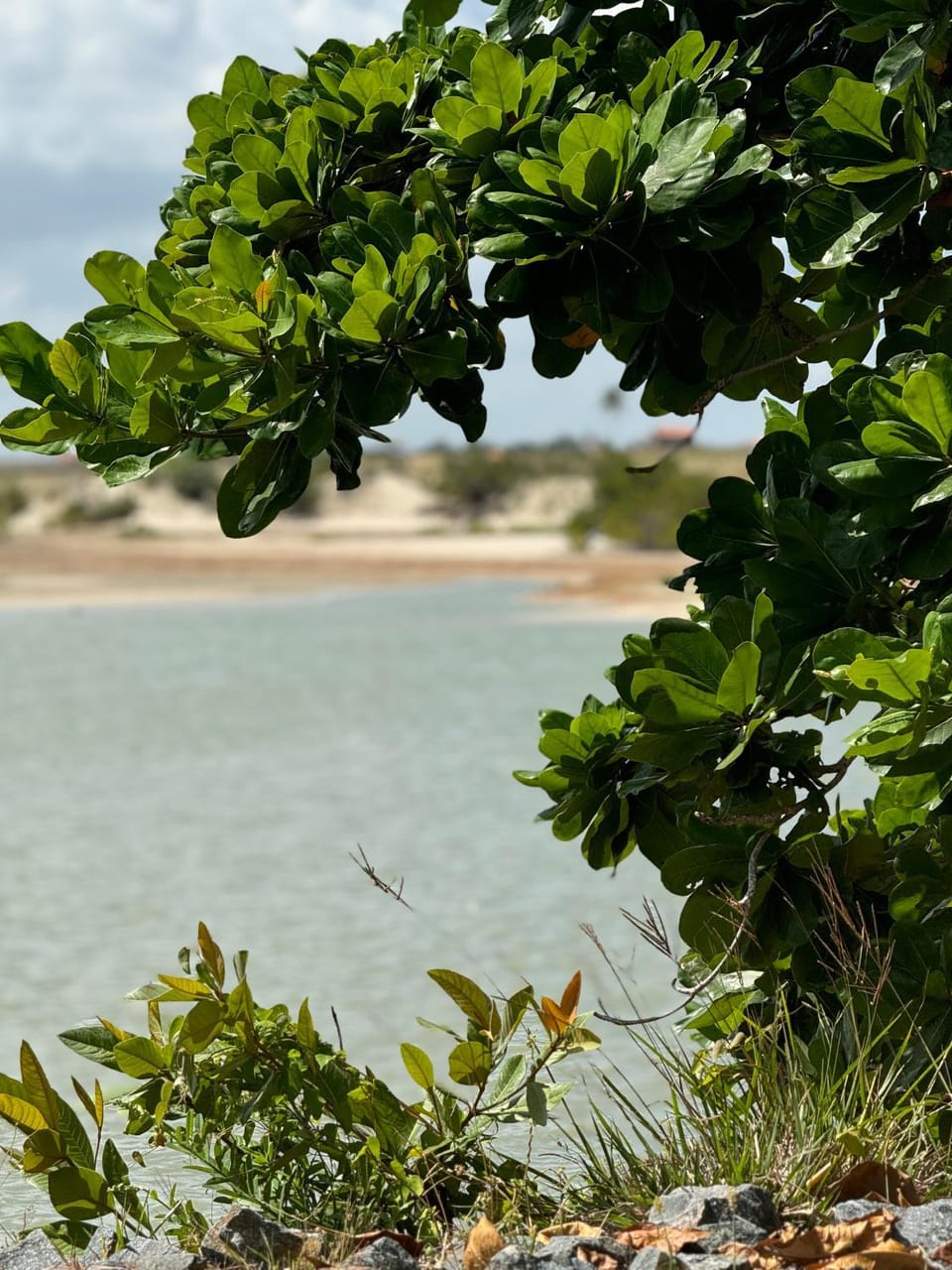 Sea view, Sea view