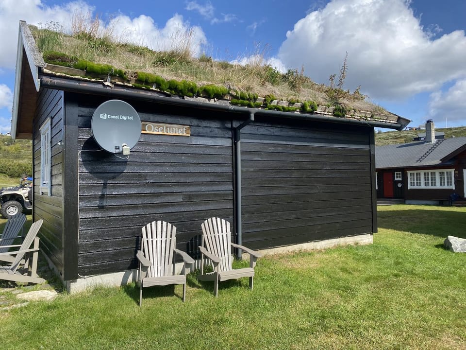 Property building, Garden, Garden, sunbed