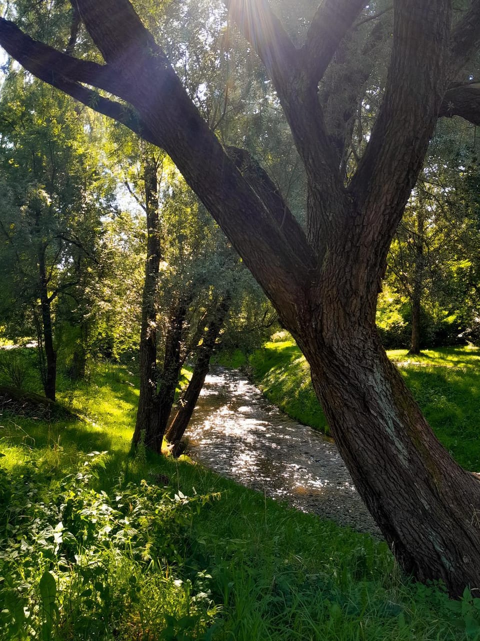 Off site, Natural landscape, Location