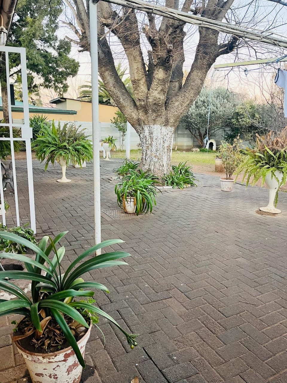Garden view