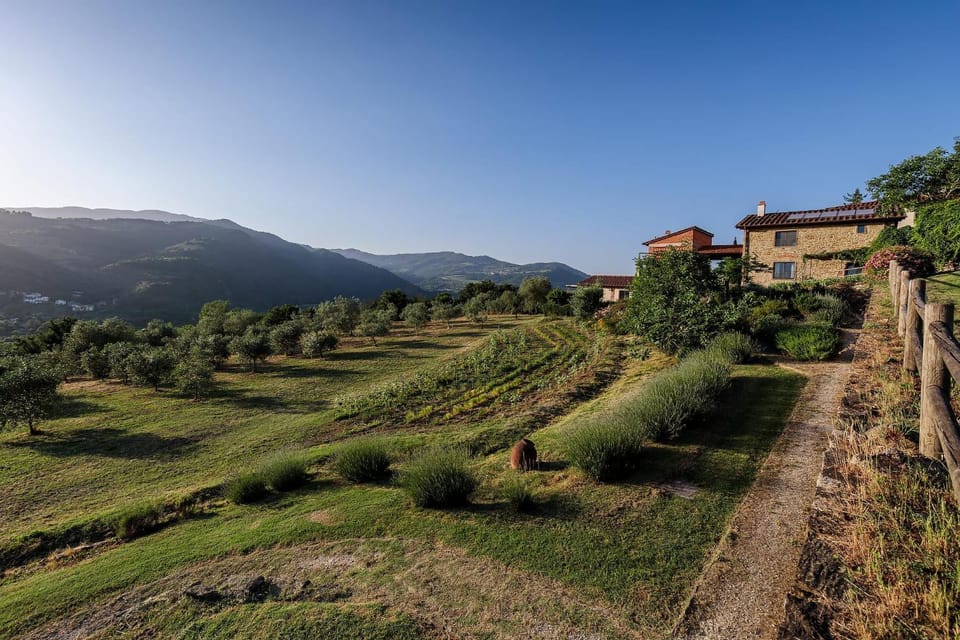 Property building, Garden, View (from property/room), Mountain view