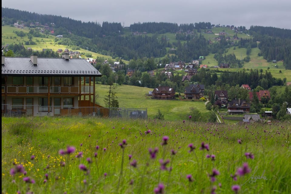 Off site, Neighbourhood, Natural landscape, Summer, Floor plan, On site, City view, Garden view, Mountain view