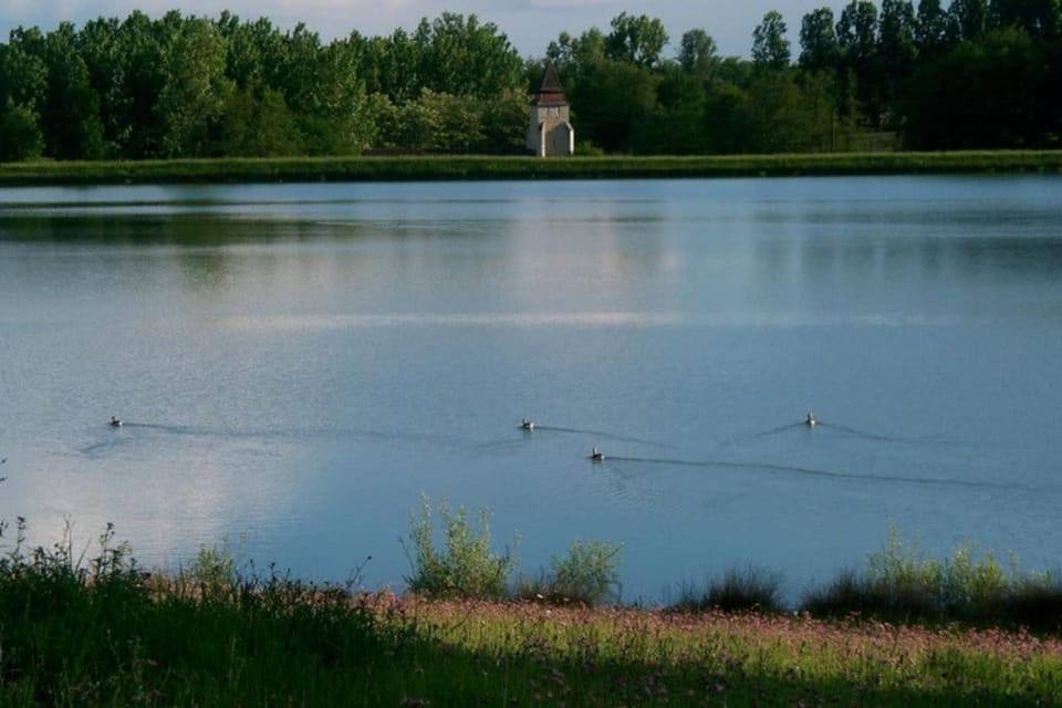 Natural landscape, Fishing, Lake view