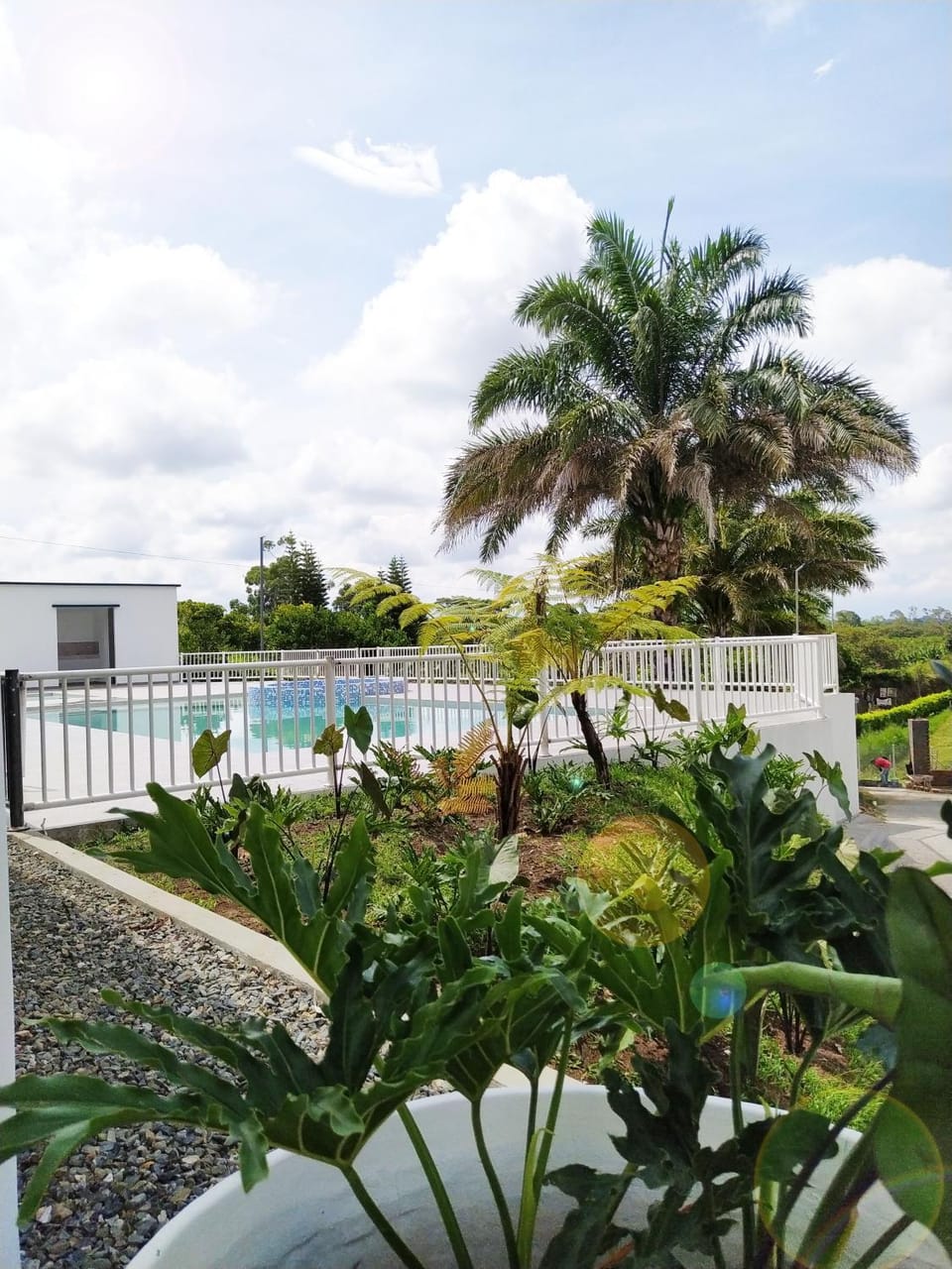 Garden, Garden view, Pool view, Swimming pool
