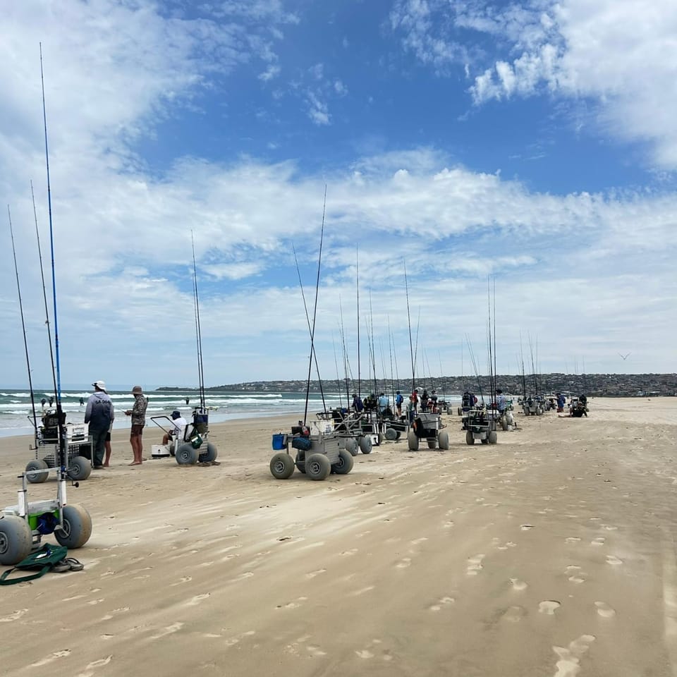Natural landscape, Fishing, Beach, Sea view